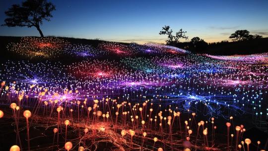 Field of Light van Bruce Munro