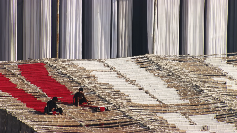 Yann Arthus-Bertrand