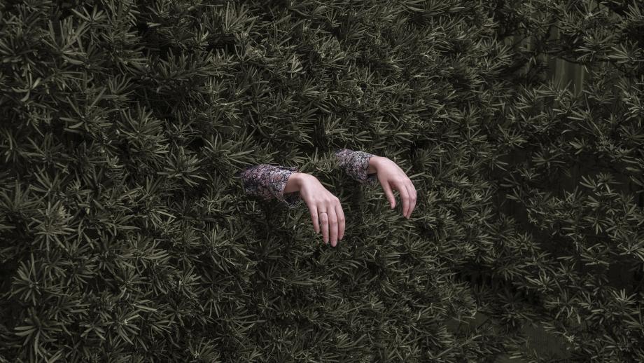 Brooke DiDonato