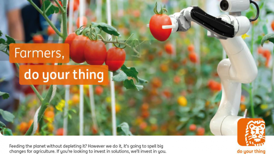 Tomatenpluk met robot, do your thing ING