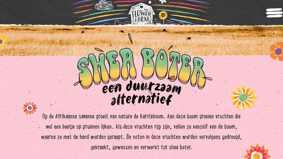 Shea butter, duurzaam alternatief?