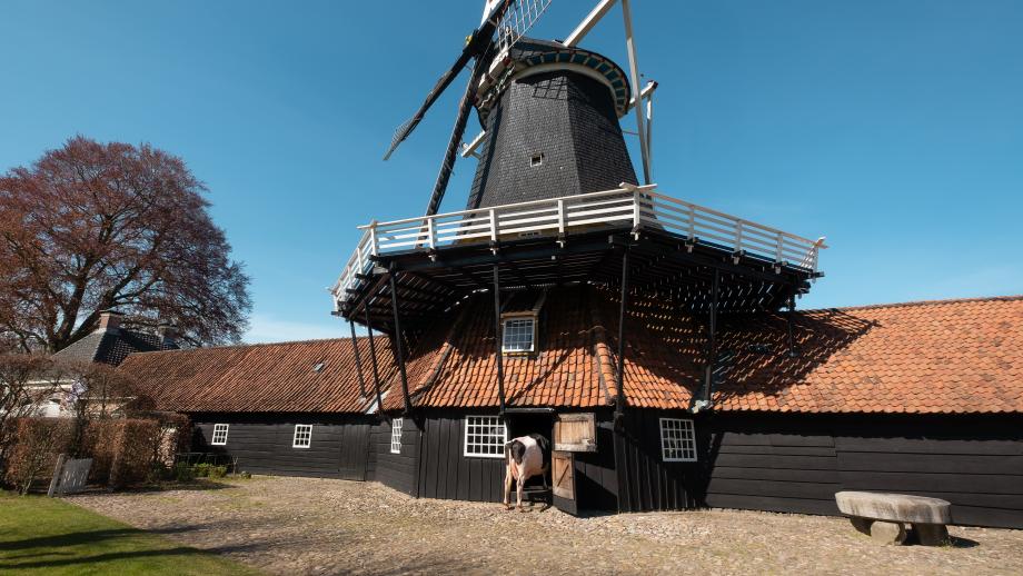 Cowfluencer Liesje22 in actie - Visit Twente