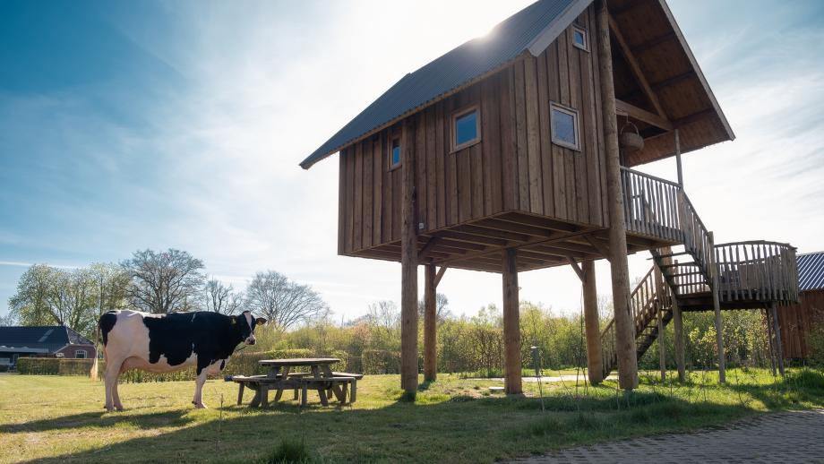 Liesje22 bij de boomhut langs de Regge