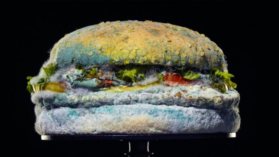 Burger Kings 34 dagen oude, 'moldy' Whopper