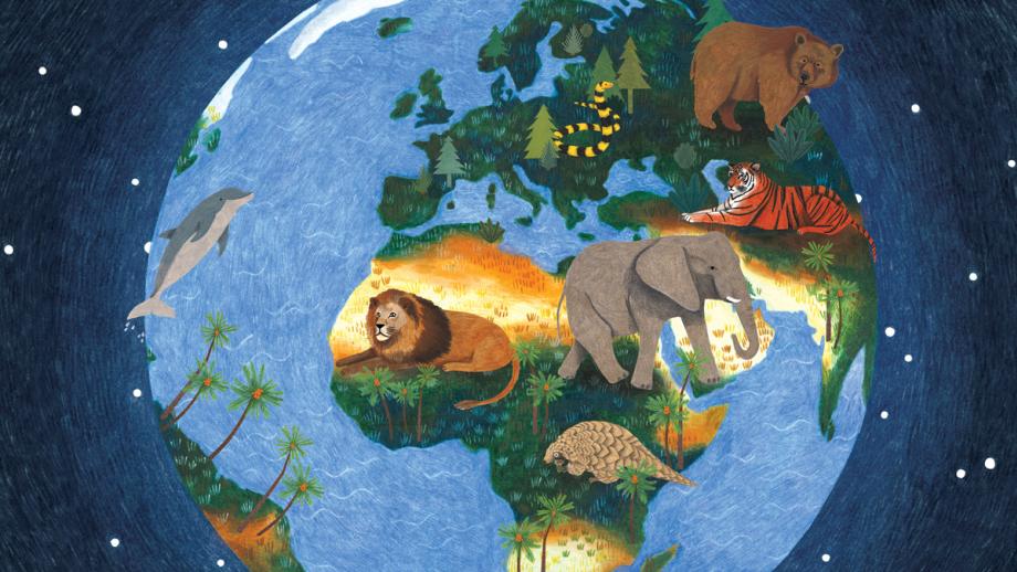 World Animal Protection-campagne kracht bijgezet met illustraties