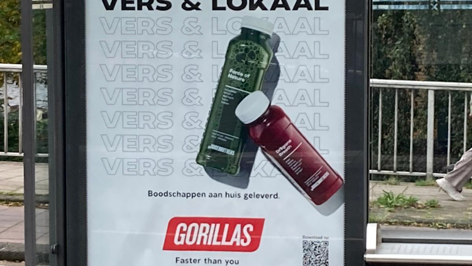 abri van gorillas in Amsterdam