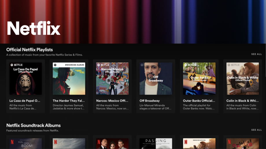 Spotify Netflix hub