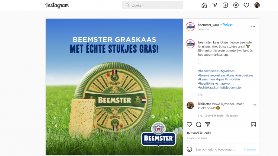 beemster met gras