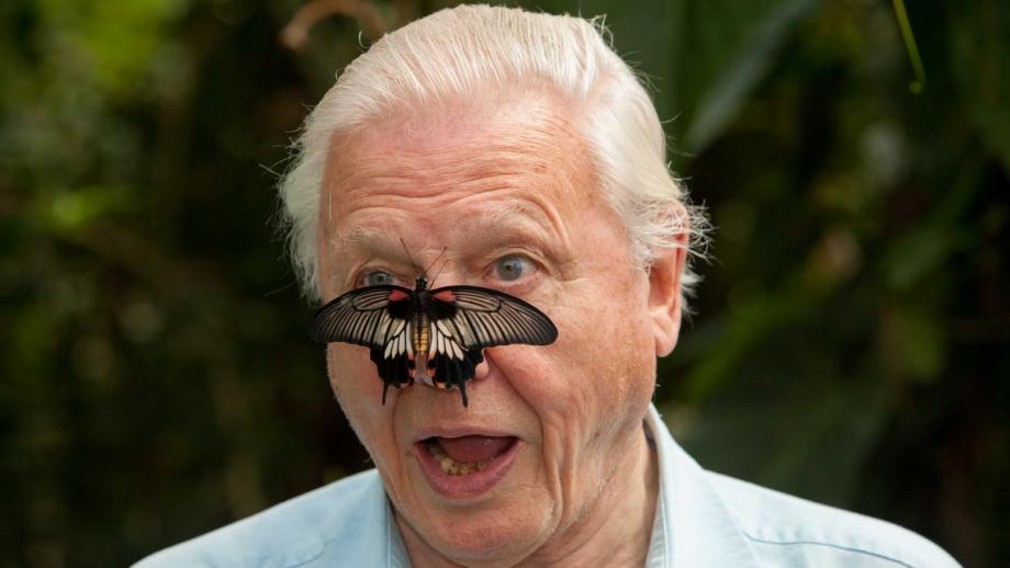 Sir David Attenborough