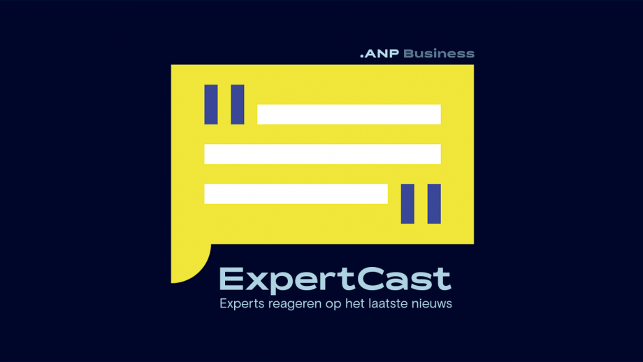 Het logo van ANP Business met een geel icoon en de omschrijving van de podcast.