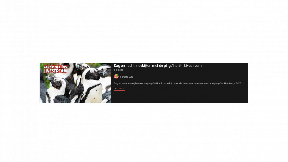 YouTube livestream