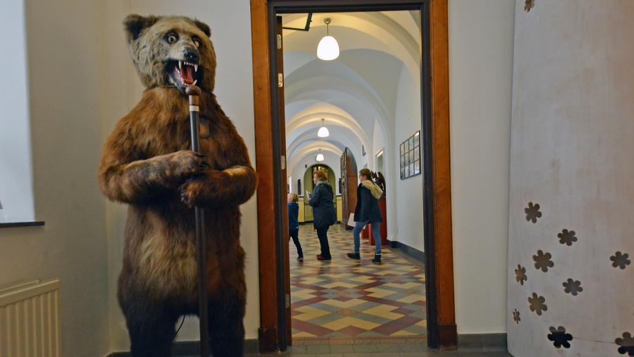 De beer in het Limburgse Missiemuseum in Steyl
