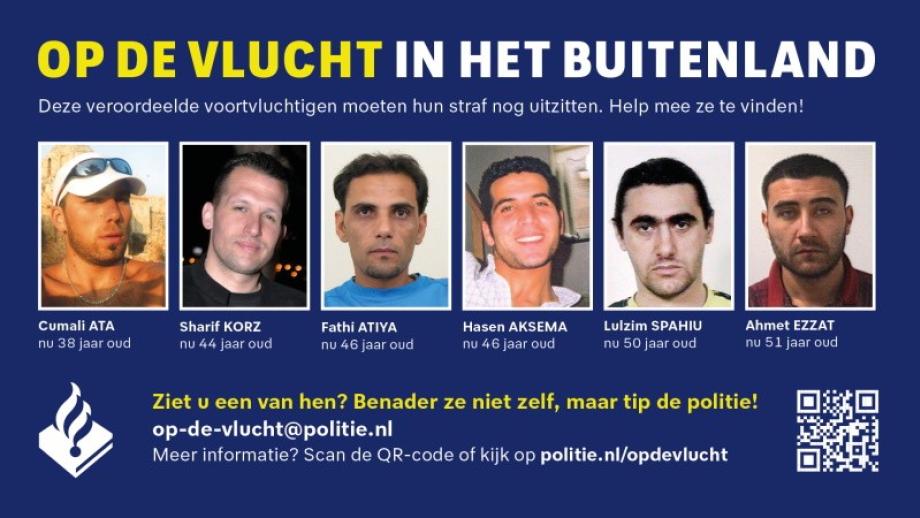 FastNL