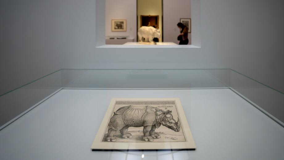 De allereerste prent van een neushoorn in Europa door Albrecht Dürer