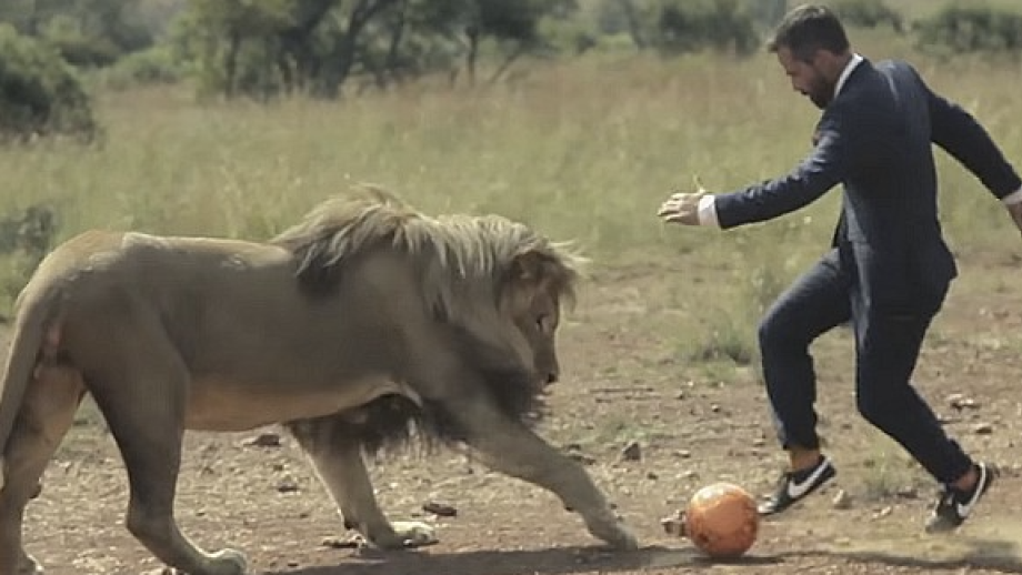 De Van Gils-campagne van fotograaf en lion whisperer Kevin Richardson ('dit was echt!')