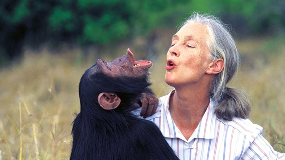 Jane Goodall