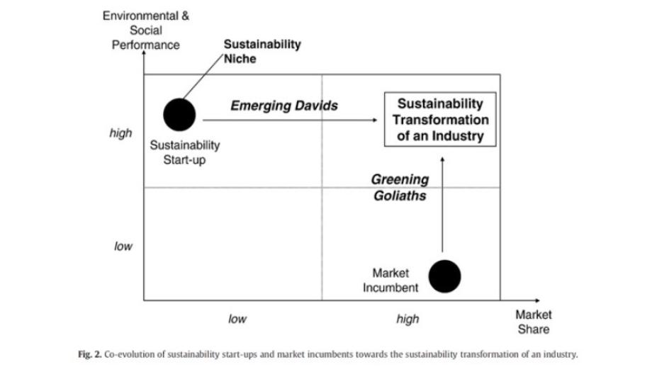 Sustainability Transformation of an Industry