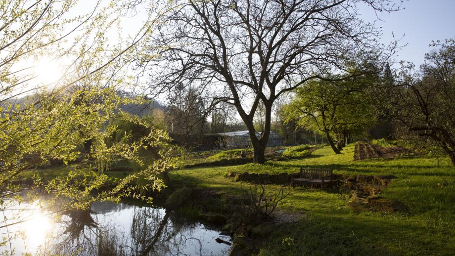 De tuin van Dr. Hauschka