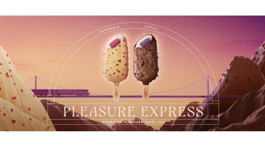 The Pleasure Express