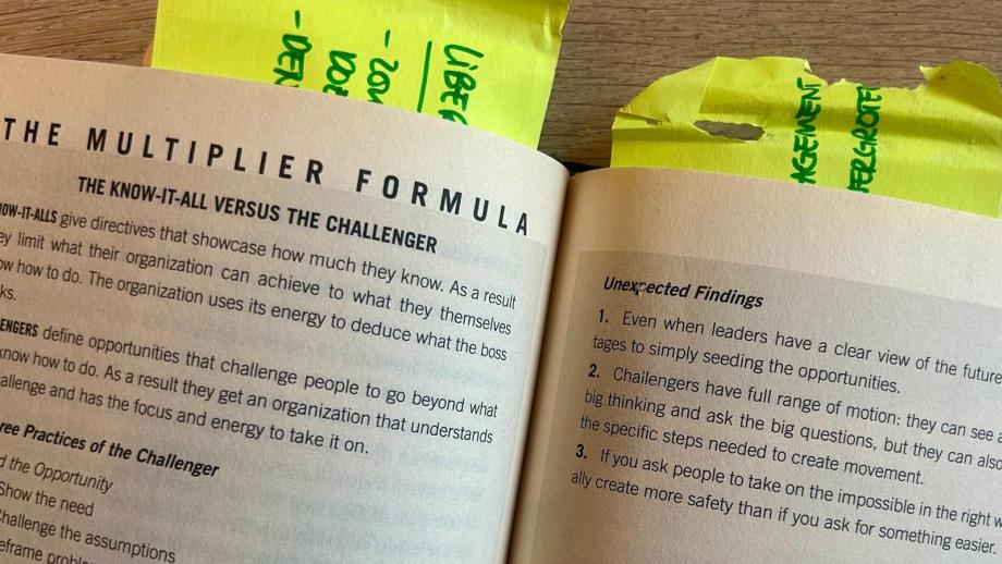 Het boek Multipliers van Liz Wisemen met Ceciels post-its