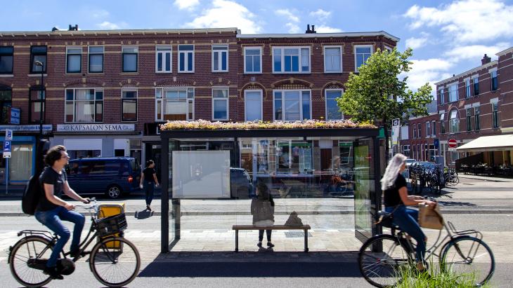 Groene abri in Utrecht