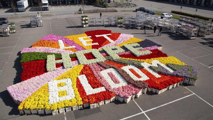 Bloemenbureau Holland - Let hope bloom