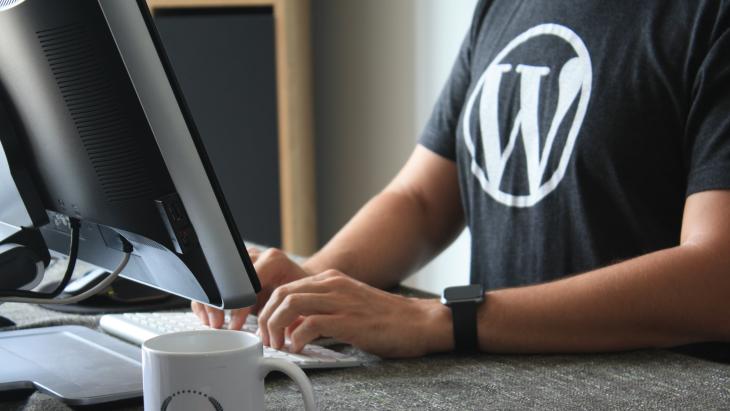 Wordpress dominates 2024